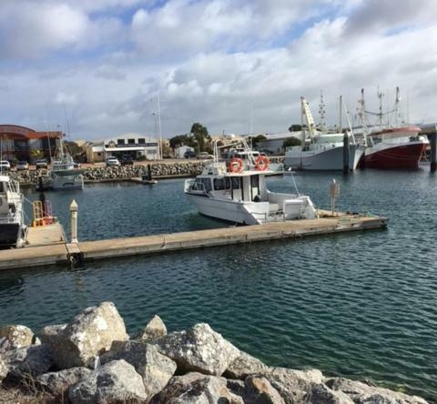 Port Lincoln Shark Apartment 3 מראה חיצוני תמונה